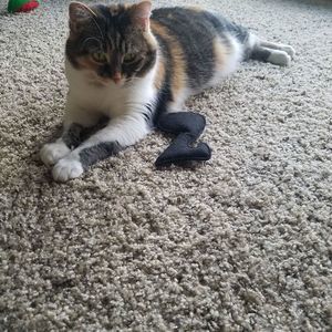 Meet your Posher, Christy